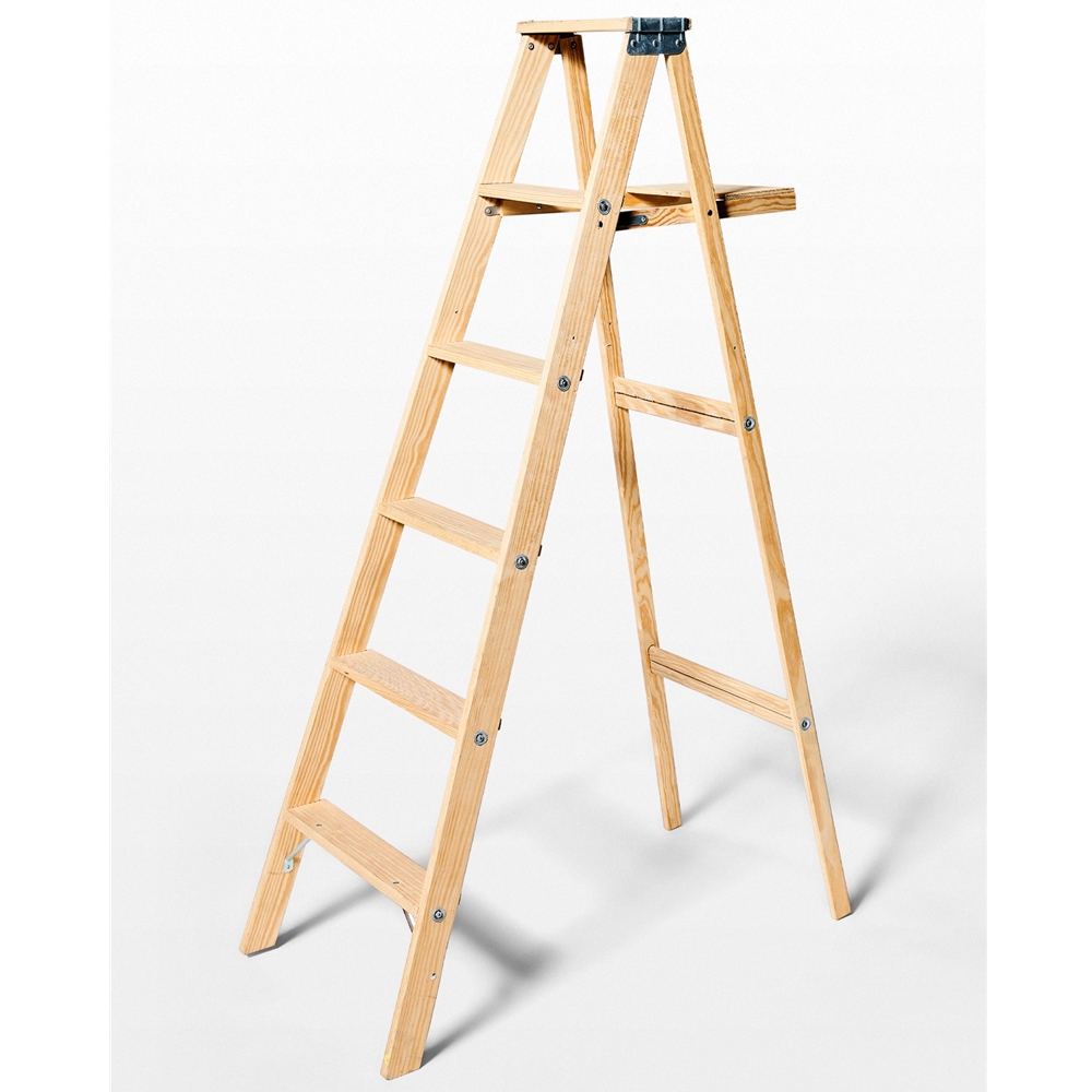 CWH Wholesale Apartment and Building Maintenance Supply - Ladder