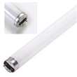 Fluorescent Light Bulbs & Tubes