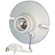 Lampholders & Sockets