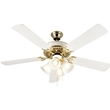 Ceiling Fans