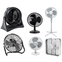 Fans
