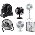 Fans