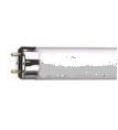 Fluorescent Bulb - Tubes Cool White T12
