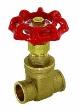 Brass Gate Valve 200 PSI, Female C x C  Lead Free