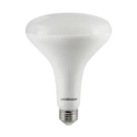 Flood Lite Bulbs BR-40