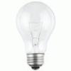 Household Light Bulbs Incandesecnt - A19 Clear