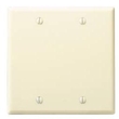 Wall Plates-Two Gang Blank Plate