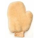 Paint Mitt