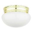 Lighting Fixtures - Entry & Hallway Ceiling Fixtures
