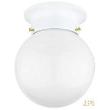 Entry & Hallway Ceiling Fixtures