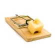 Pest Control - Rodent Traps