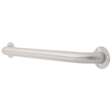 Heavy Duty Stainless Steel Grab Bar Exposed Screw Mount