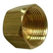 Brass Cap