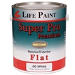 Flat Self Priming Paint