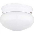 1 Light Opal Mushroom Fixture