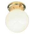 1 Light Opal Globe w/ Pull Chain