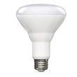 LED Bulbs R40