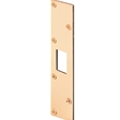 Max Security Deadbolt Strike
