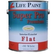 Pro Coat Flat Paint