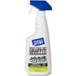 Spray Paint Graffiti Remover