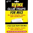 Glue Traps for Mice
