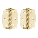 Cabinet Spring Hinge