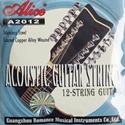 12 String Acoustic Guitar