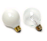 Globle Lites - Light Bulb G-25