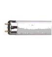 Fluorescent Bulb - Tubes Cool White T12