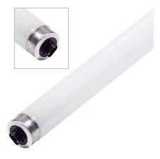 Fluorescent Bulb - Tube T12CWHOES
