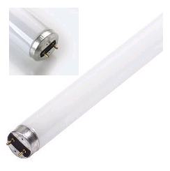 Fluorescent Bulb - FO Octron T8