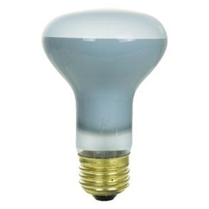 Flood Lite Bulbs R-20