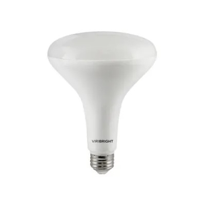 Flood Lite Bulbs BR-40