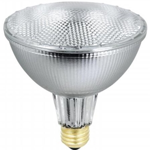 Flood Lite Bulbs Par-30 Halogen