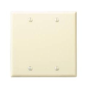 Wall Plates-Two Gang Blank Plate