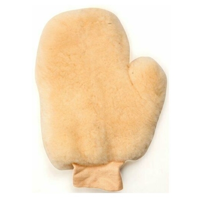 Paint Mitt
