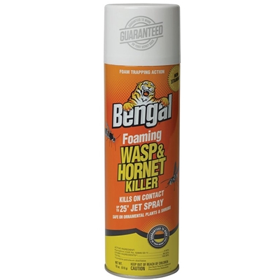 Pest Control - Wasp & Yellowjacket Foam
