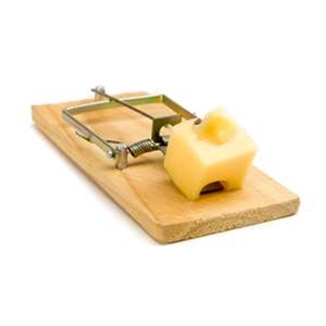 Pest Control - Rodent Traps
