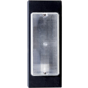 Outdoor Security Lighting - Heavy Duty Flourescent Wall Pack