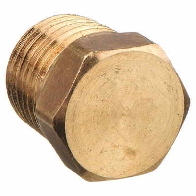 Brass Plug