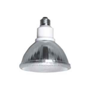 LED Outdoor Flood Light Bulbs