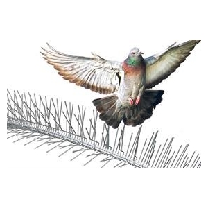 Bird spikes