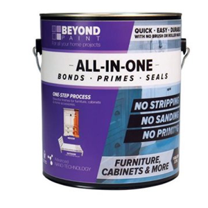 All in One Paint -Gallon