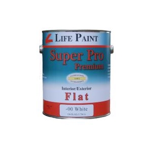Pro Coat Flat Paint