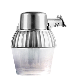 Security Light 10"