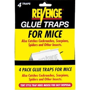 Glue Traps for Mice