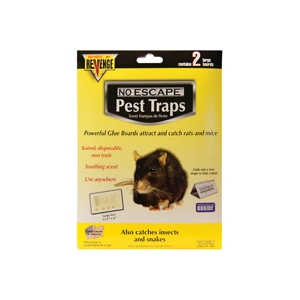Glue Traps for Rats