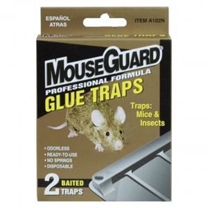 Glue Traps