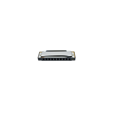 Harmonica with Case