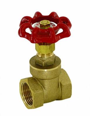 Brass Gate Valve 200 PSI, Female IPS